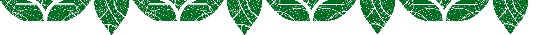 vector